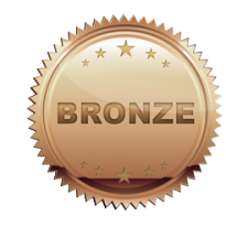 Bronze VIP